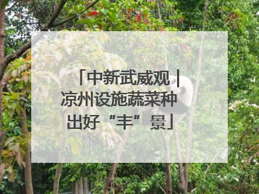 中新武威观｜凉州设施蔬菜种出好“丰”景