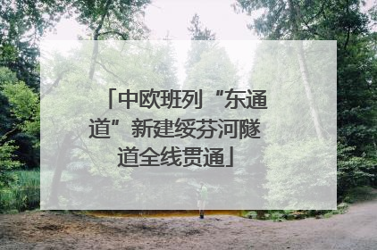 中欧班列“东通道”新建绥芬河隧道全线贯通