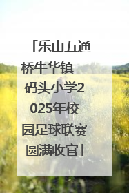 乐山五通桥牛华镇二码头小学2025年校园足球联赛圆满收官