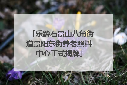乐龄石景山八角街道景阳东街养老照料中心正式揭牌