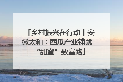 乡村振兴在行动丨安徽太和：西瓜产业铺就“甜蜜”致富路
