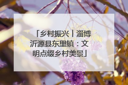 乡村振兴︱淄博沂源县东里镇：文明点缀乡村美景