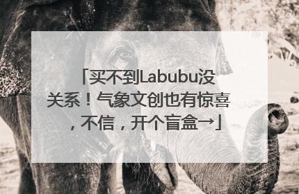 买不到Labubu没关系！气象文创也有惊喜，不信，开个盲盒→