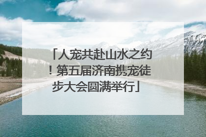 人宠共赴山水之约！第五届济南携宠徒步大会圆满举行