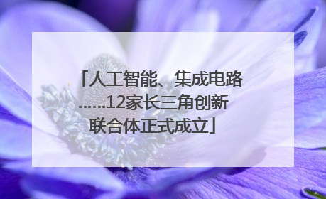 人工智能、集成电路……12家长三角创新联合体正式成立