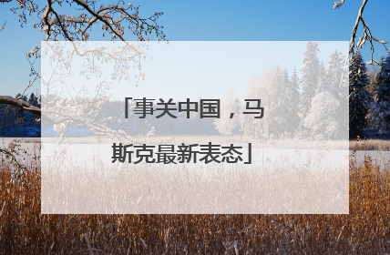 事关中国，马斯克最新表态