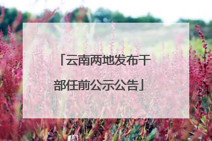 云南两地发布干部任前公示公告