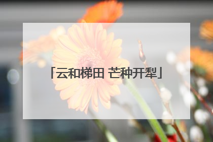 云和梯田 芒种开犁