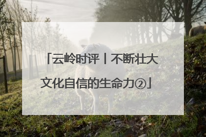 云岭时评丨不断壮大文化自信的生命力②
