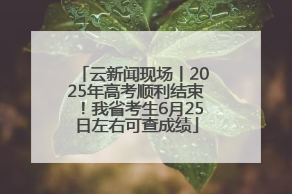 云新闻现场丨2025年高考顺利结束！我省考生6月25日左右可查成绩