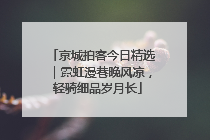 京城拍客今日精选｜霓虹漫巷晚风凉，轻骑细品岁月长