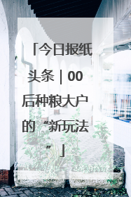 今日报纸头条｜00后种粮大户的“新玩法”