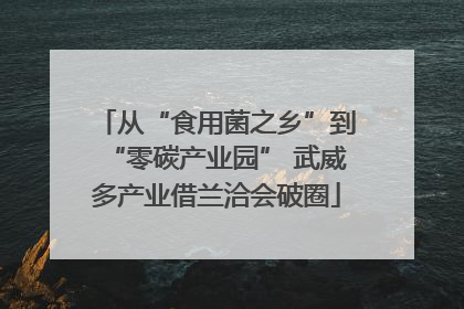 从“食用菌之乡”到“零碳产业园” 武威多产业借兰洽会破圈