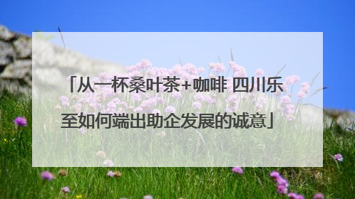从一杯桑叶茶+咖啡 四川乐至如何端出助企发展的诚意