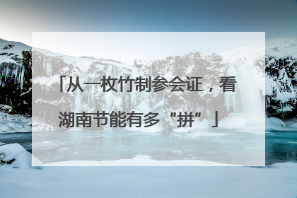 从一枚竹制参会证，看湖南节能有多“拼”