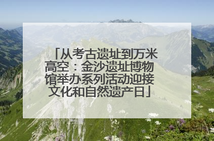 从考古遗址到万米高空：金沙遗址博物馆举办系列活动迎接文化和自然遗产日