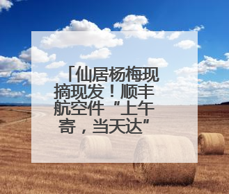 仙居杨梅现摘现发！顺丰航空件“上午寄，当天达”，“梅”好送到家！