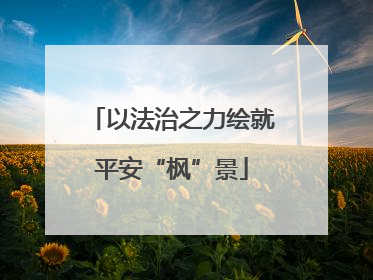 以法治之力绘就平安“枫”景