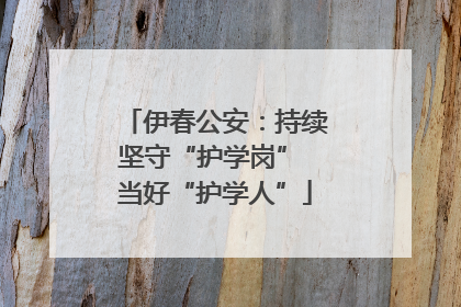 伊春公安：持续坚守“护学岗” 当好“护学人”