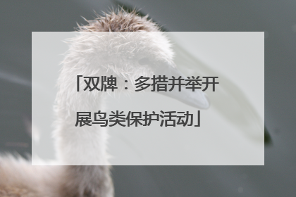 双牌：多措并举开展鸟类保护活动