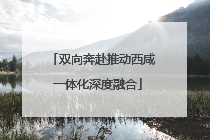 双向奔赴推动西咸一体化深度融合