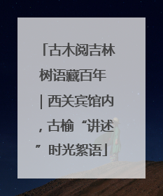 古木阅吉林 树语藏百年｜西关宾馆内，古榆“讲述”时光絮语