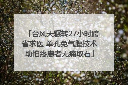 台风天辗转27小时跨省求医 单孔免气腹技术助怕疼患者无痛取石