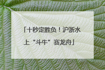 十秒定胜负！沪浙水上“斗牛”赛龙舟