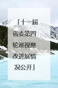 十一届省委第四轮巡视整改进展情况公开