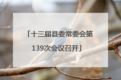 十三届县委常委会第139次会议召开