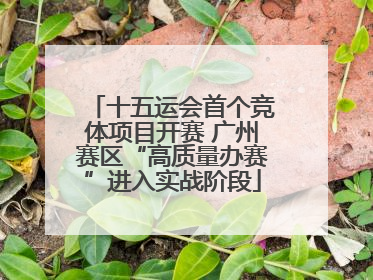 十五运会首个竞体项目开赛 广州赛区“高质量办赛”进入实战阶段
