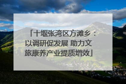 十堰张湾区方滩乡：以调研促发展 助力文旅康养产业提质增效
