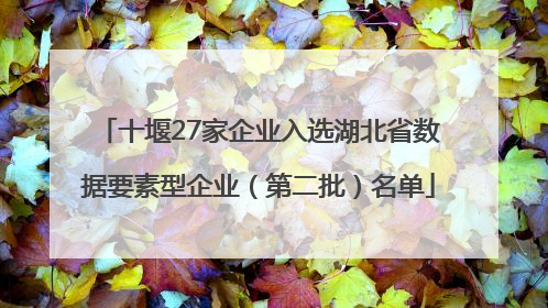 十堰27家企业入选湖北省数据要素型企业（第二批）名单