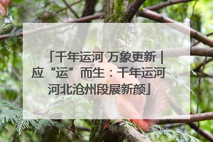 千年运河 万象更新｜应“运”而生：千年运河河北沧州段展新颜