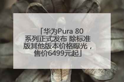 华为Pura 80系列正式发布 除标准版其他版本价格曝光，售价6499元起