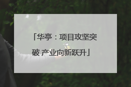 华亭：项目攻坚突破 产业向新跃升
