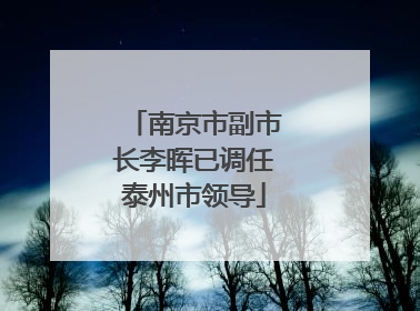 南京市副市长李晖已调任泰州市领导