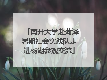 南开大学赴菏泽暑期社会实践队走进杨湖参观交流