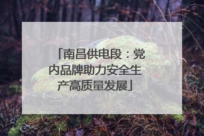 南昌供电段：党内品牌助力安全生产高质量发展