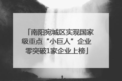 南阳宛城区实现国家级重点“小巨人”企业零突破1家企业上榜