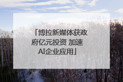 博拉新媒体获政府亿元投资 加速AI企业应用