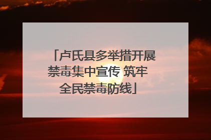 卢氏县多举措开展禁毒集中宣传 筑牢全民禁毒防线