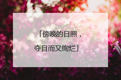 傍晚的日照，夺目而又绚烂