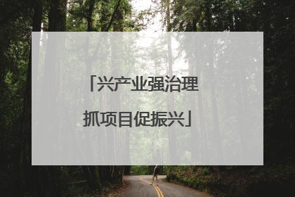 兴产业强治理 抓项目促振兴