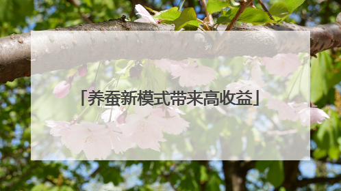 养蚕新模式带来高收益