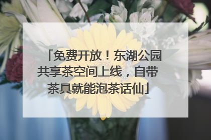 免费开放！东湖公园共享茶空间上线，自带茶具就能泡茶话仙