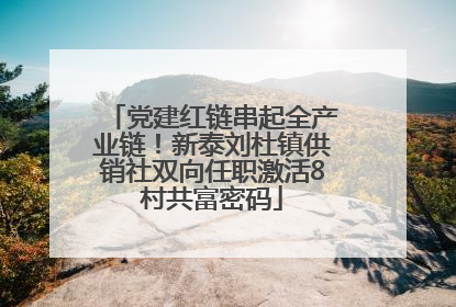 党建红链串起全产业链！新泰刘杜镇供销社双向任职激活8村共富密码