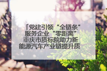 党建引领“全链条” 服务企业“零距离” 重庆市质标院助力新能源汽车产业链提升质量管理水平