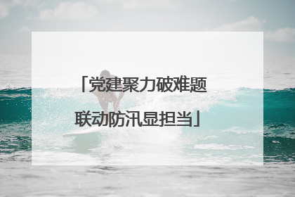 党建聚力破难题 联动防汛显担当