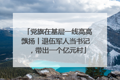 党旗在基层一线高高飘扬丨退伍军人当书记，带出一个亿元村
